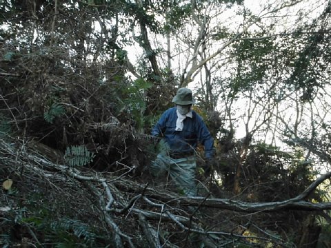 html/s-cimg0529.html