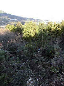 html/s-cimg0533.html