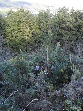 html/s-cimg0535.html