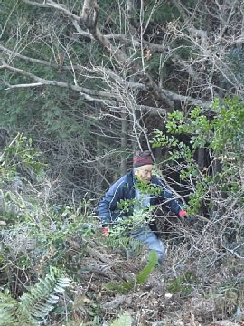 html/s-cimg0536.html