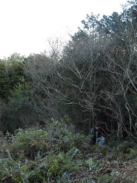 html/s-cimg0537.html