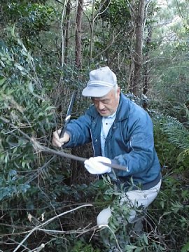 html/s-cimg0538.html