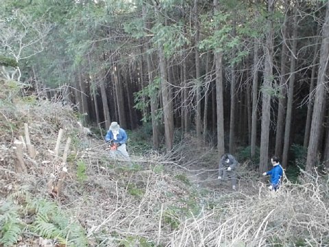 html/s-cimg0540.html