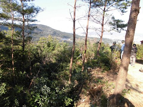 html/s-cimg0544.html