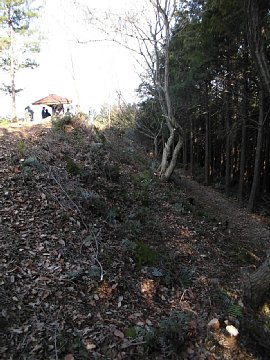 html/s-cimg0545.html