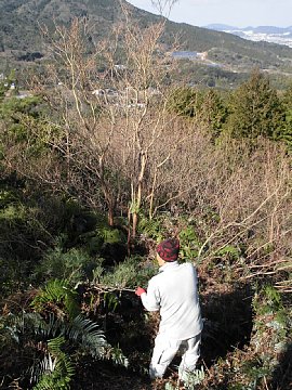 html/s-cimg0550.html