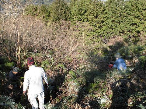 html/s-cimg0551.html