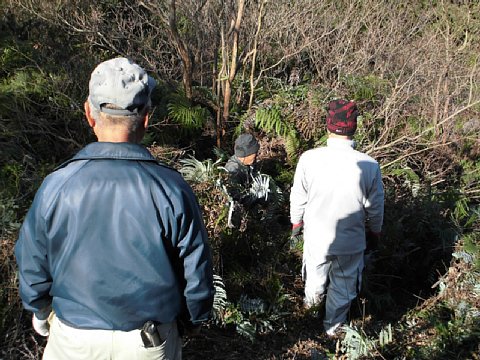 html/s-cimg0552.html