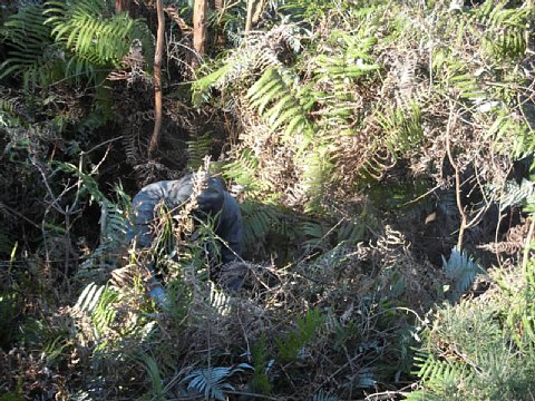 html/s-cimg0553.html