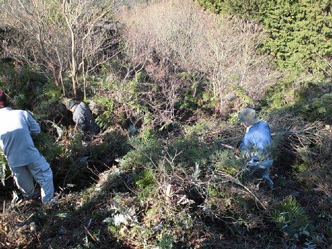 html/s-cimg0554.html