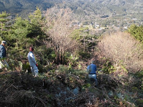 html/s-cimg0555.html