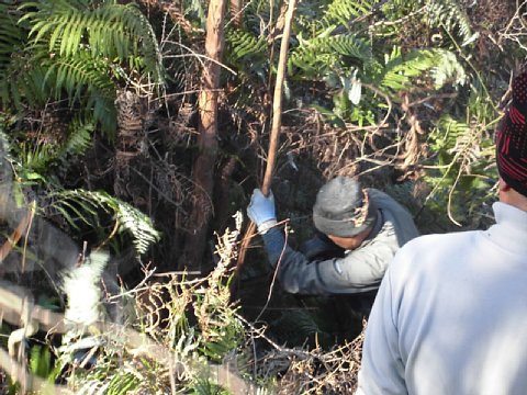 html/s-cimg0556.html