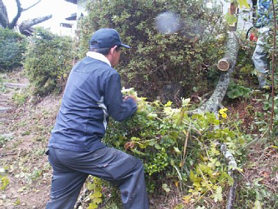 html/s-pict7620.html