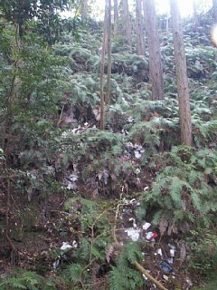 html/s-pict7622.html