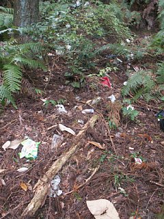 html/s-pict7626.html