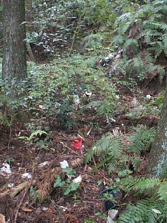 html/s-pict7627.html