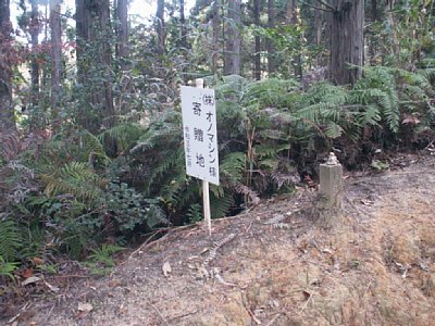 html/s-pict7635.html