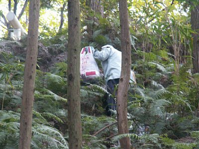 html/s-pict7649.html