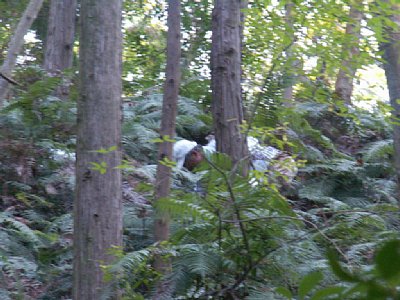 html/s-pict7650.html