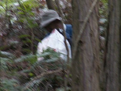 html/s-pict7651.html