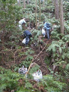 html/s-pict7654.html