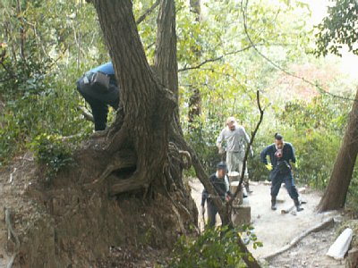 html/s-pict7966.html