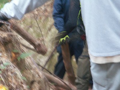 html/s-pict8009.html