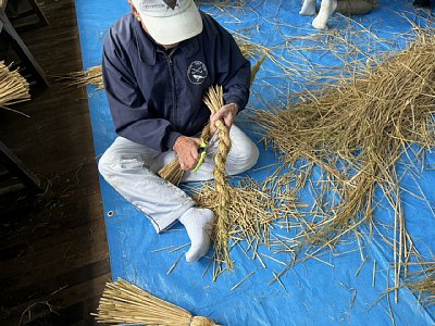 html/s-s__81485833_0.html