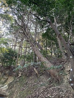 html/s-img_0204.html